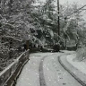 Meet your Posher, Garrett